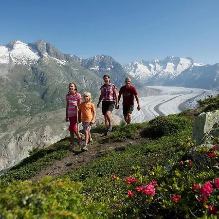 Apartment Alpengarten 7 Bettmeralp