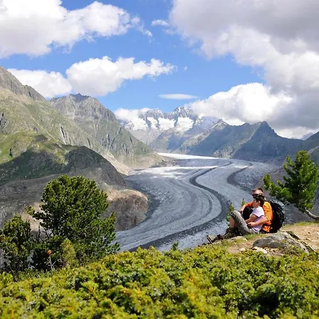 Alpengarten 7 * Bettmeralp