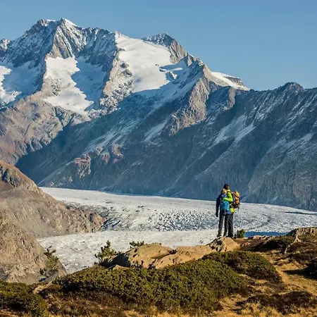 Alpengarten 7 Διαμέρισμα Bettmeralp