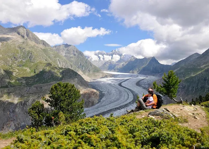 Alpengarten 7 * Bettmeralp